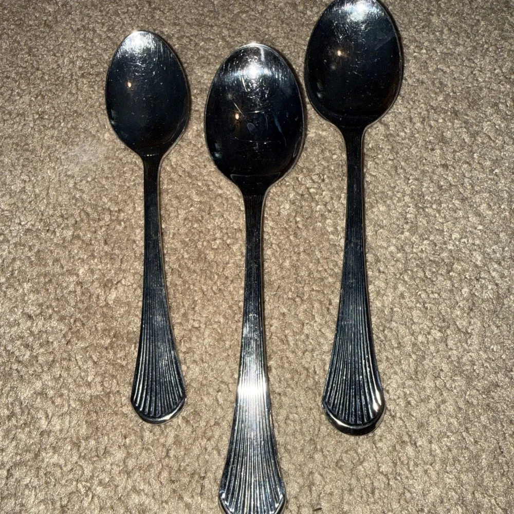 Carico Manet Stainless soup Spoons  3